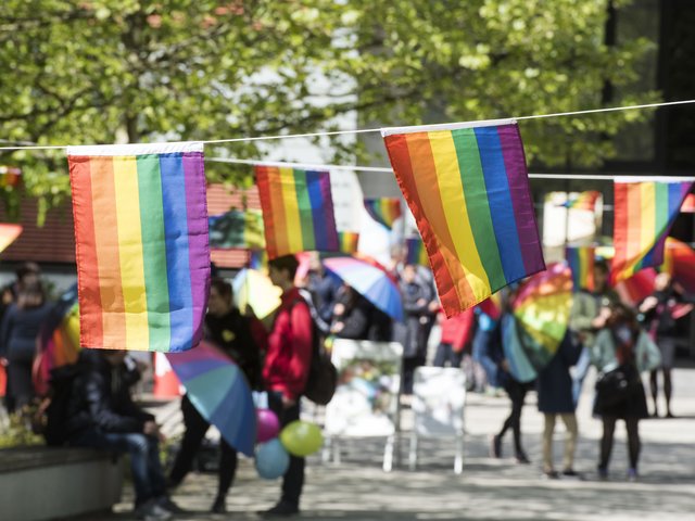 Das Bild zeigt Girlanden mit der Regenbogenfahne.