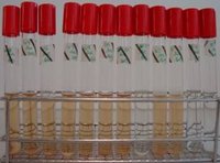 Glastubes with microorganisms converting Fe (II) into Fe (III) that precipitates as hydroxide Glastubes with microorganisms converting Fe (II) into Fe (III) that precipitates as hydroxide