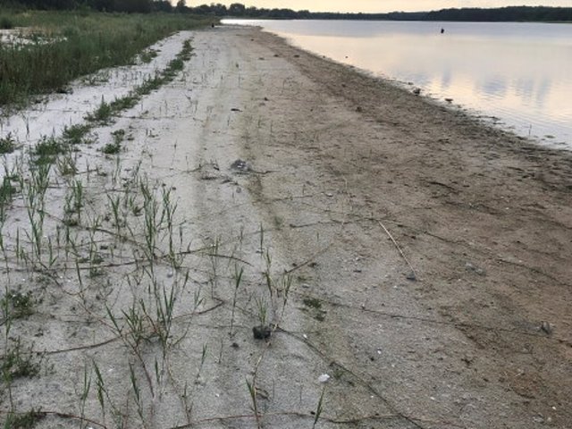Seddiner See August 2022