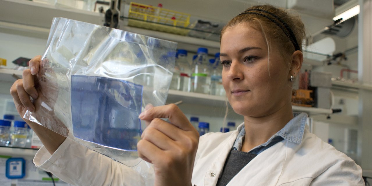 Bachelorstudentin untersucht Probe im Labor für Biotechnologie