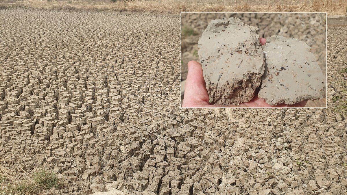 Abgesetzte Schwebstoffe aus der Tringwasseraufbereitung in Navrongo, Ghana