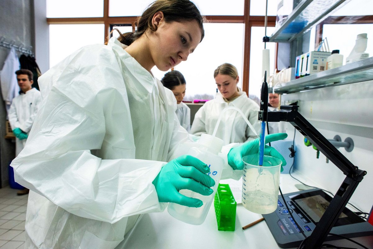 Students examine soil samples in the laboratory.