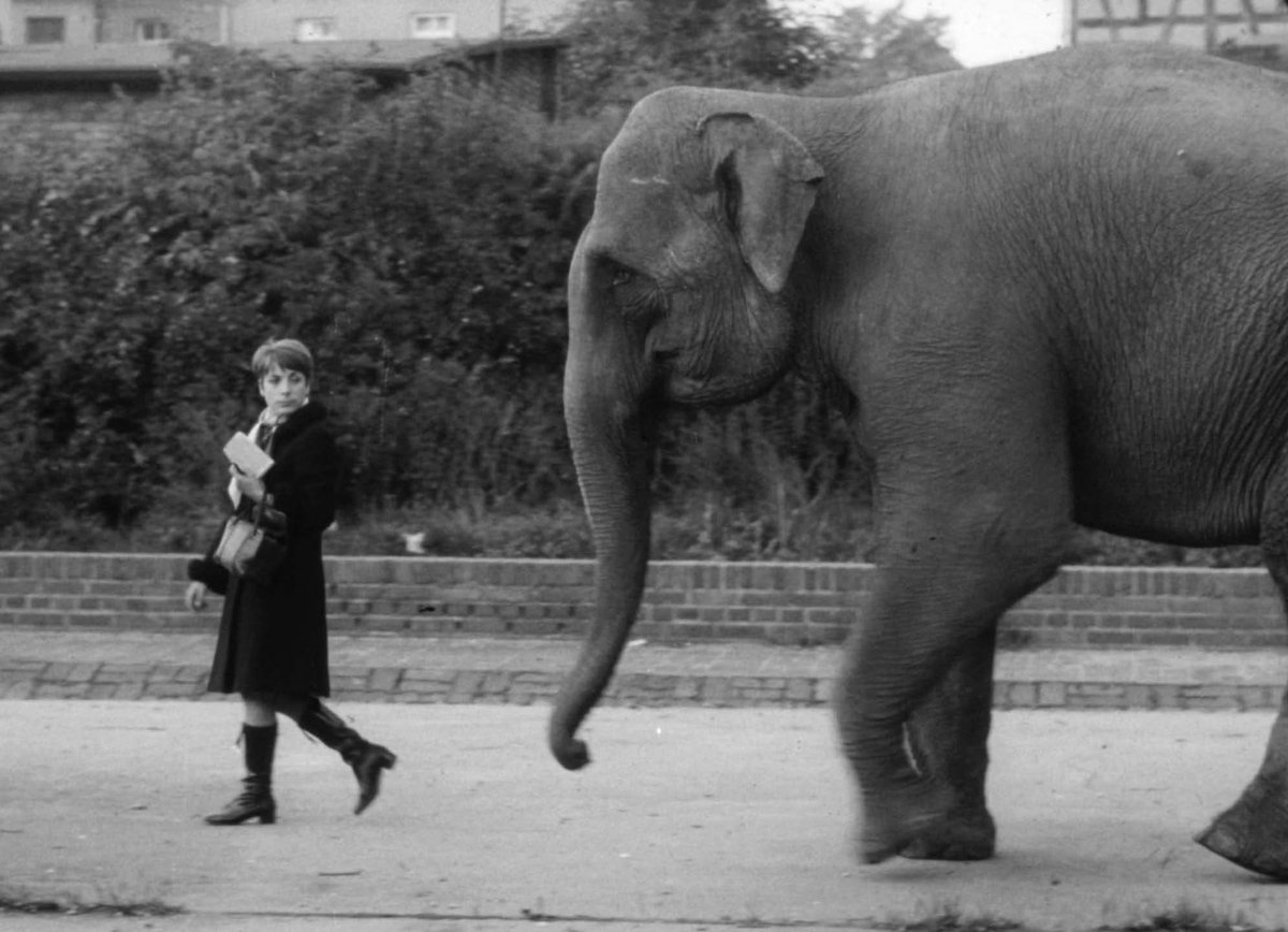 Plakatausschnitt: Frau mit Elefant