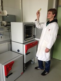 Bendrik Baumeister is looking for colonies grown on an agar plate.