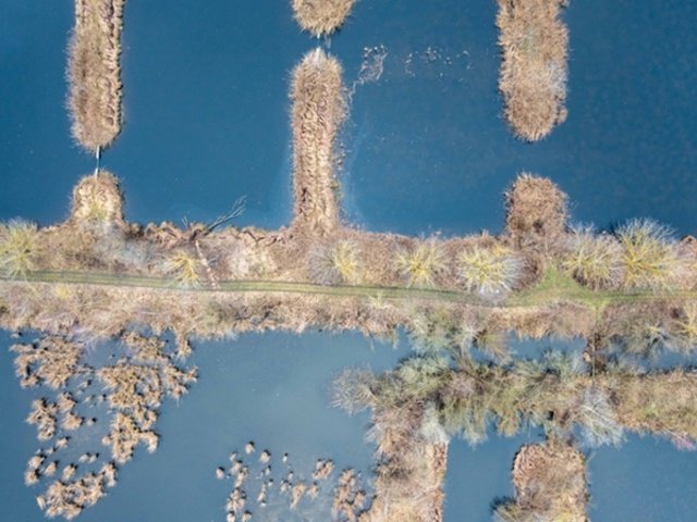 Sewage ponds in Hobrechtsfelde