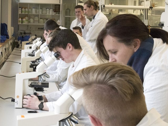 Teilnehmende der Biotechnologietage 2018 blicken im Labor duch Mikroskope. 