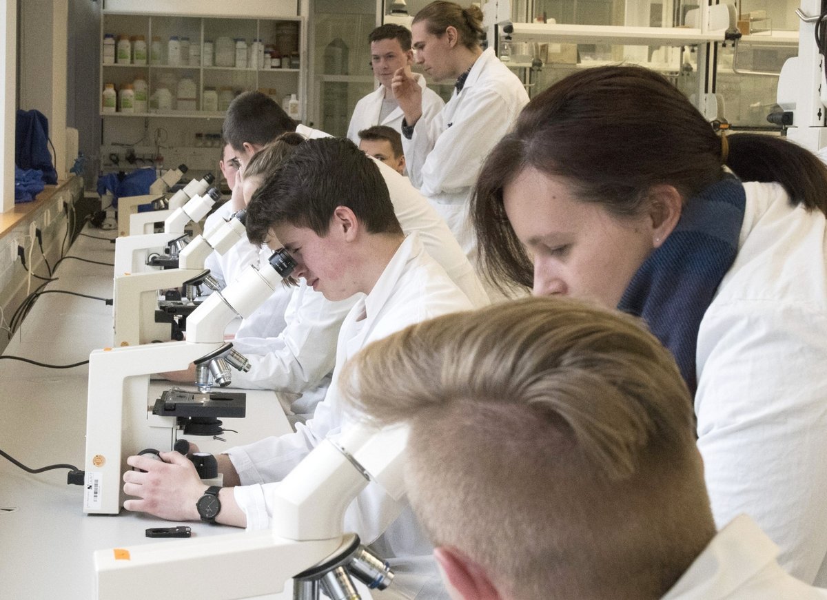 Teilnehmende der Biotechnologietage 2018 blicken im Labor duch Mikroskope. 