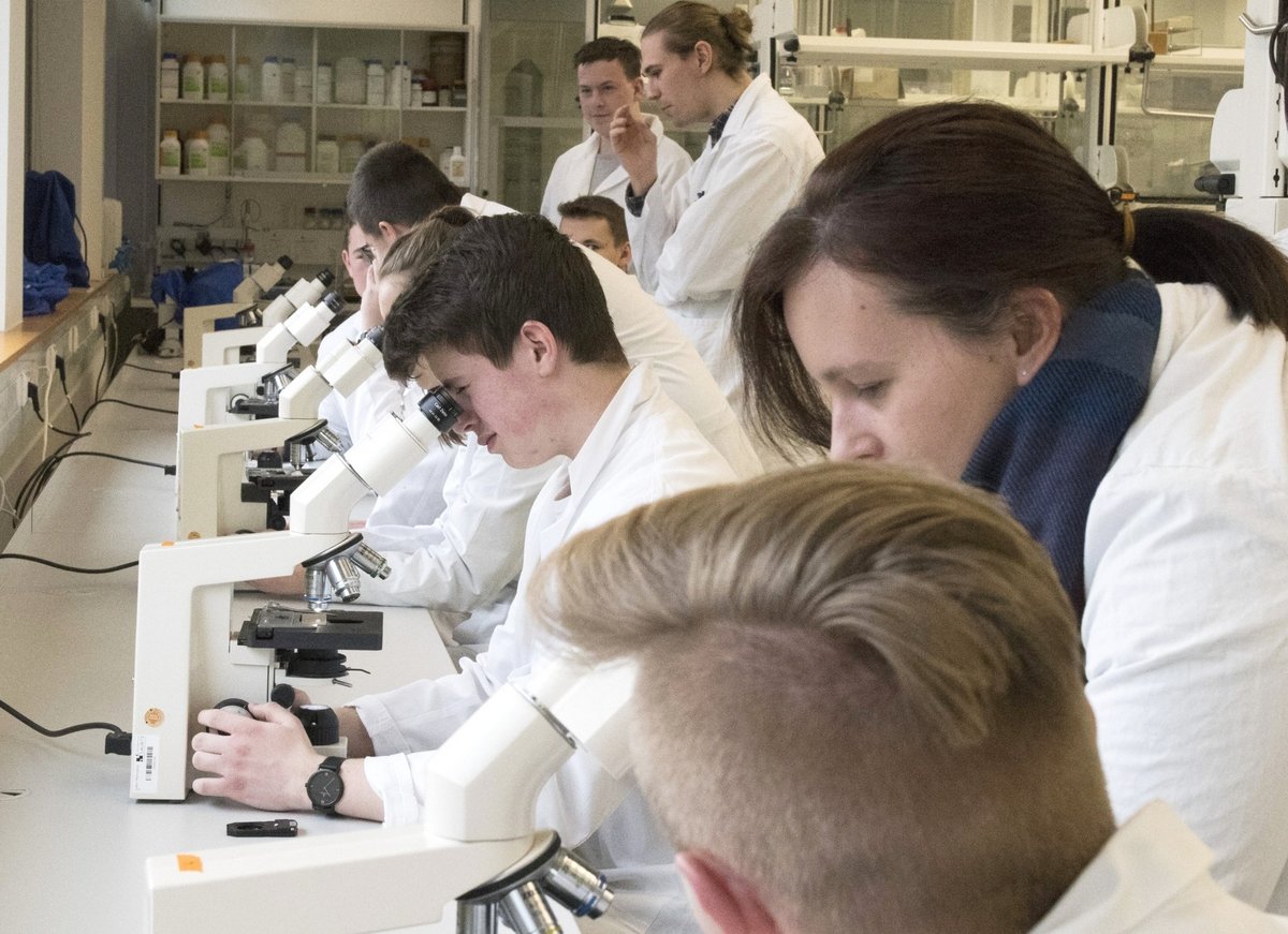Teilnehmende an den Biotechnologietagen beim Mikroskopieren von Mikroorganismen. 