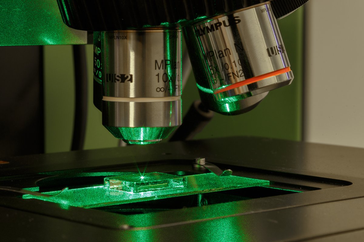 definite crash Transparent Raman - Chair of Applied Physics and Semiconductor Spectroscopy - BTU  Cottbus-Senftenberg