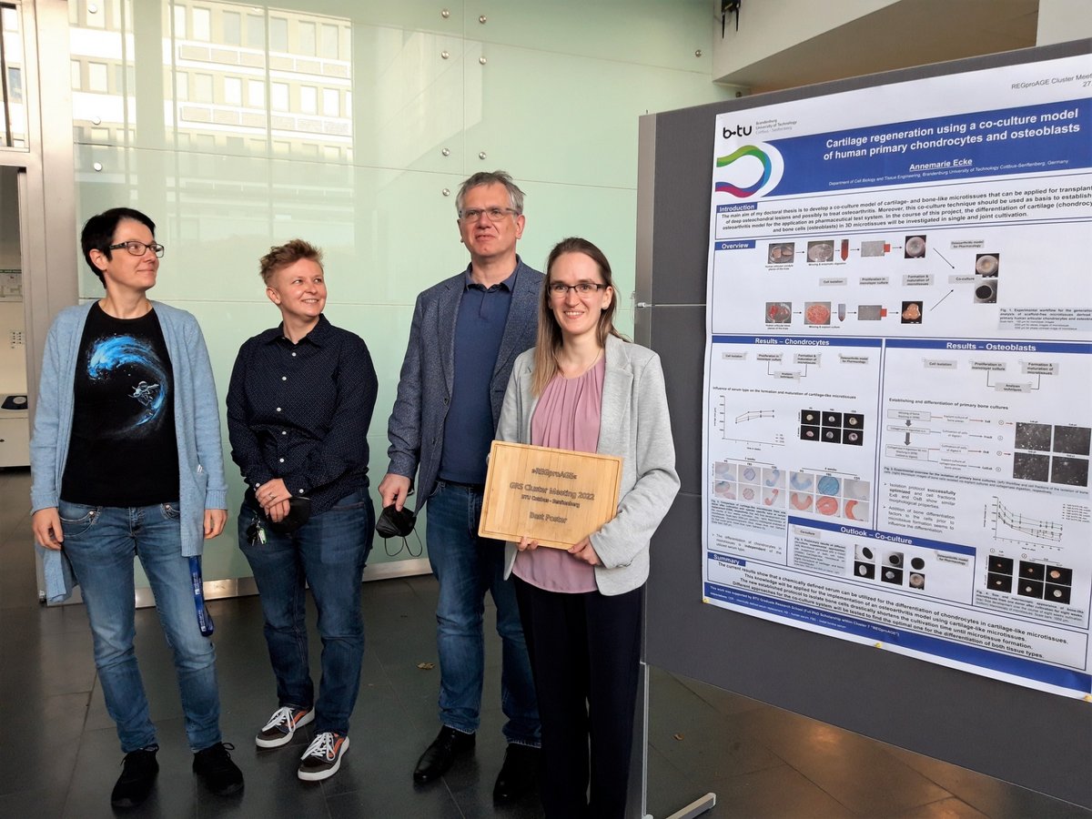 In the photo (from left to right): Prof. Dr. Manuela Rossol, Prof. Dr. Julia von Maltzahn, Prof. Dr. Alexander Schliep and award winner Annemarie Ecke, standing next to the winning poster. Photo: Prof. Dr. Ursula Anderer