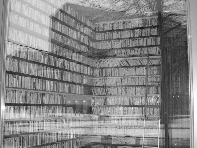 [Translate to Englisch:] Die Ausstellung "gebucht" mit Fotografien von Ulrike Ertel und lyrischen Texten von Ingolf Brökel - zu sehen im IKMZ.