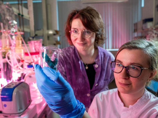 Students working in the lab.