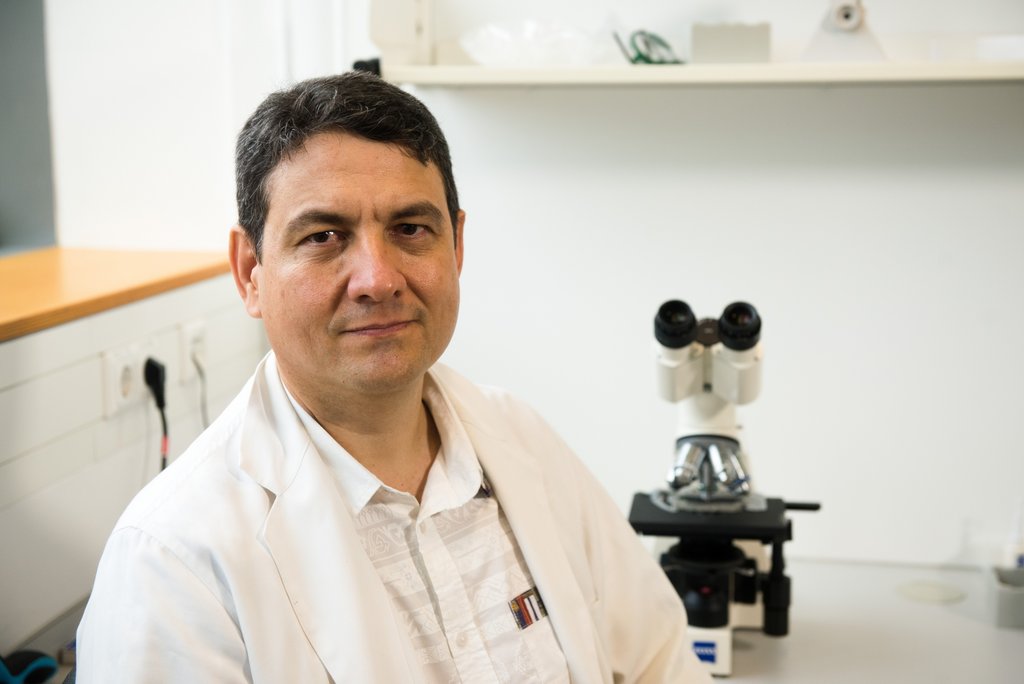 Dr. Simón Pérez-Martínez in einem Biotechnologielaboer der BTU neben einem Mikroskop. Foto: Ralf Schuster