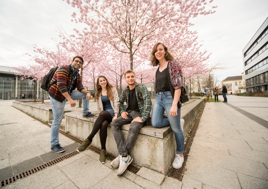 Das Bild für den Grund 8: Familiäre Campusuniversität - Auf dem Bild sind vier Studierende auf dem Campus zu sehen