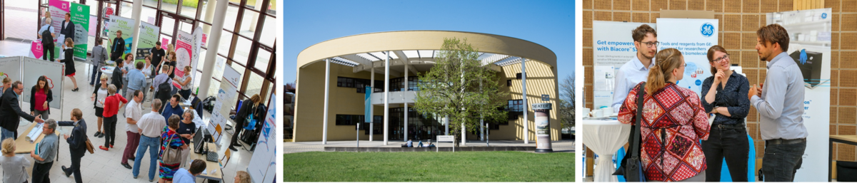 drei Zusammengesetzte Bilder welche einen Eindruck der IBID vermitteln sollen, links International Biotech Innovation Days 2018 Aufnahme des Foyers, mittig Blick auf das Konrad-Zuse Medienzentrum in Senftenberg (gelbes rundes Gbeäude), rechts Menschen diskutieren an Posterwänden