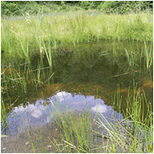Wasserstelle Wasserstelle