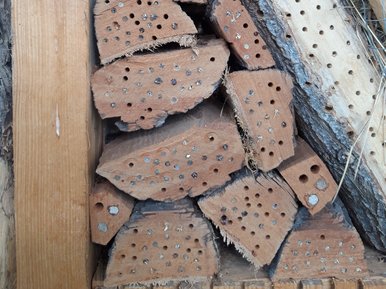 insect hotel