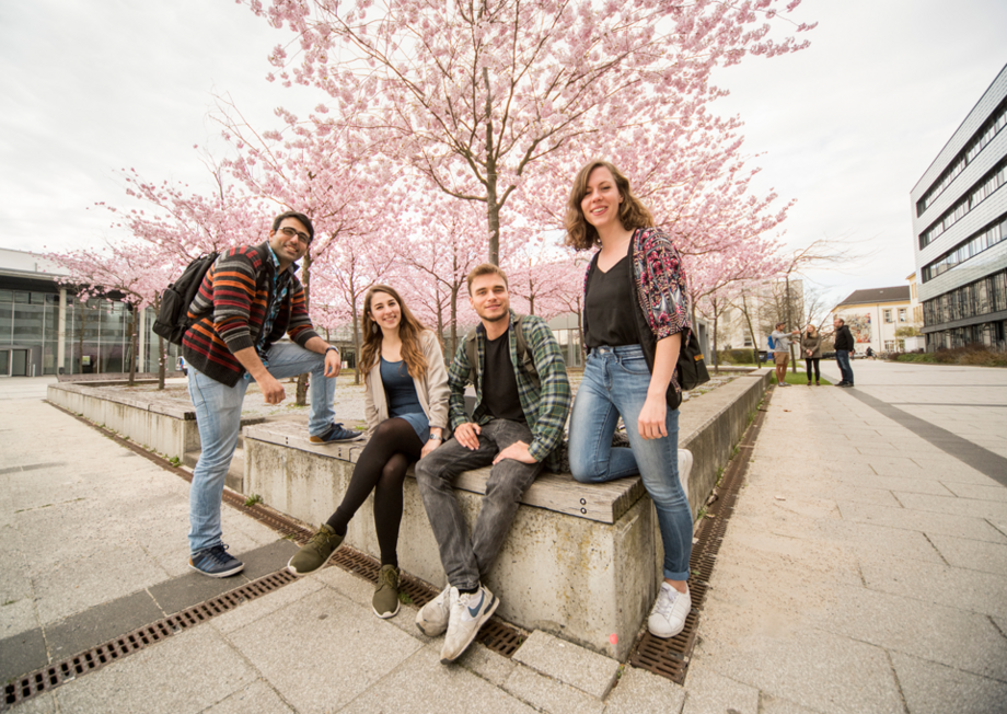 Familiäre Campusuniversität Das Bild für den Grund 8: Familiäre Campusuniversität - Auf dem Bild sind vier Studierende auf dem Campus zu sehen