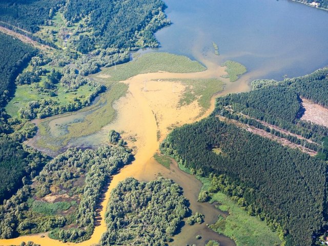 Einlaufwurzel der Talsperre Spremberg am 18. Juli 2017 (Foto: Rauhut)
