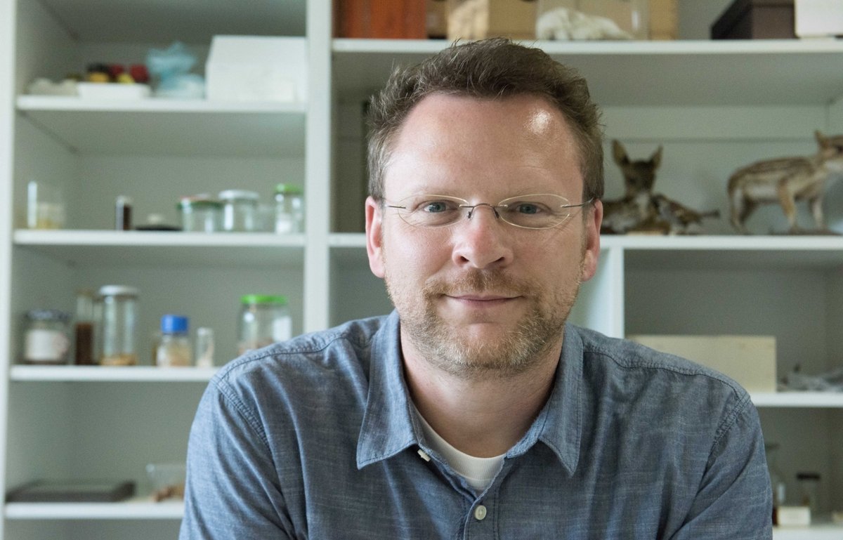 Porträtfoto von Prof. Dr. Klaus Birkhofer.
