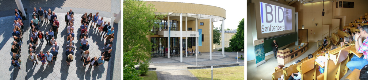 Drei zusammengesetzte Bilder als Impressionen der International Biotech Innovation Days aus 2018, links Menschen formen die Buchstaben IBID, mittig Blick auf das KOnrad-Zuse Medienzentrum der BTU Cottbus-Senftenberg, rechts Blick in den Hörsaal der Eröffnungsveranstaltung IBID 2018