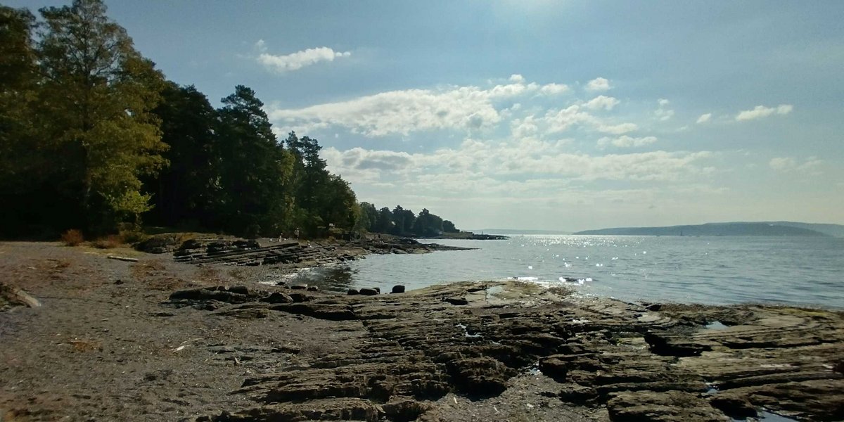 Strand von Oslo mit strahlendem Sonnenschein und Bewaldung