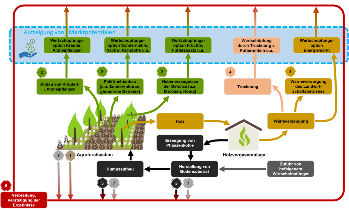 Schematic illustration of a circular economy