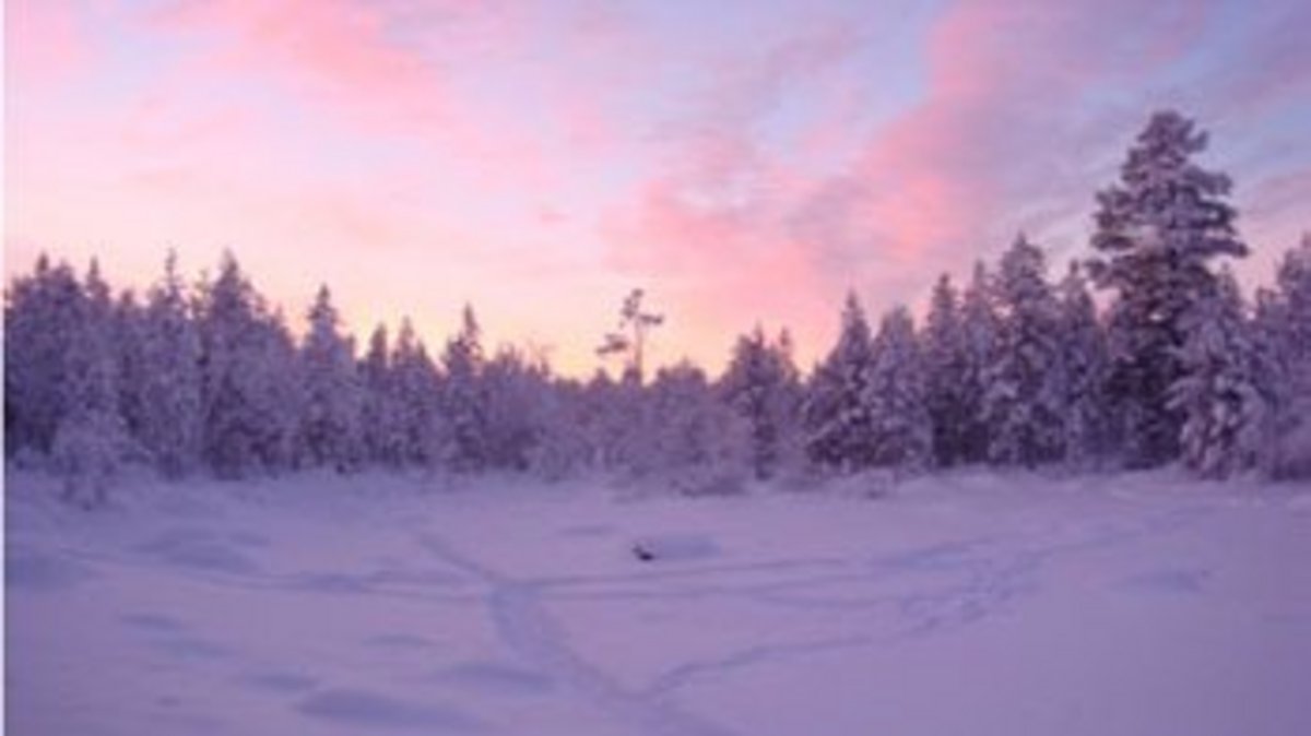 Ein Bild mit dem Link zur Erfahrungsberichte der Studierende, die in Finnland Austauschstudent/-in waren