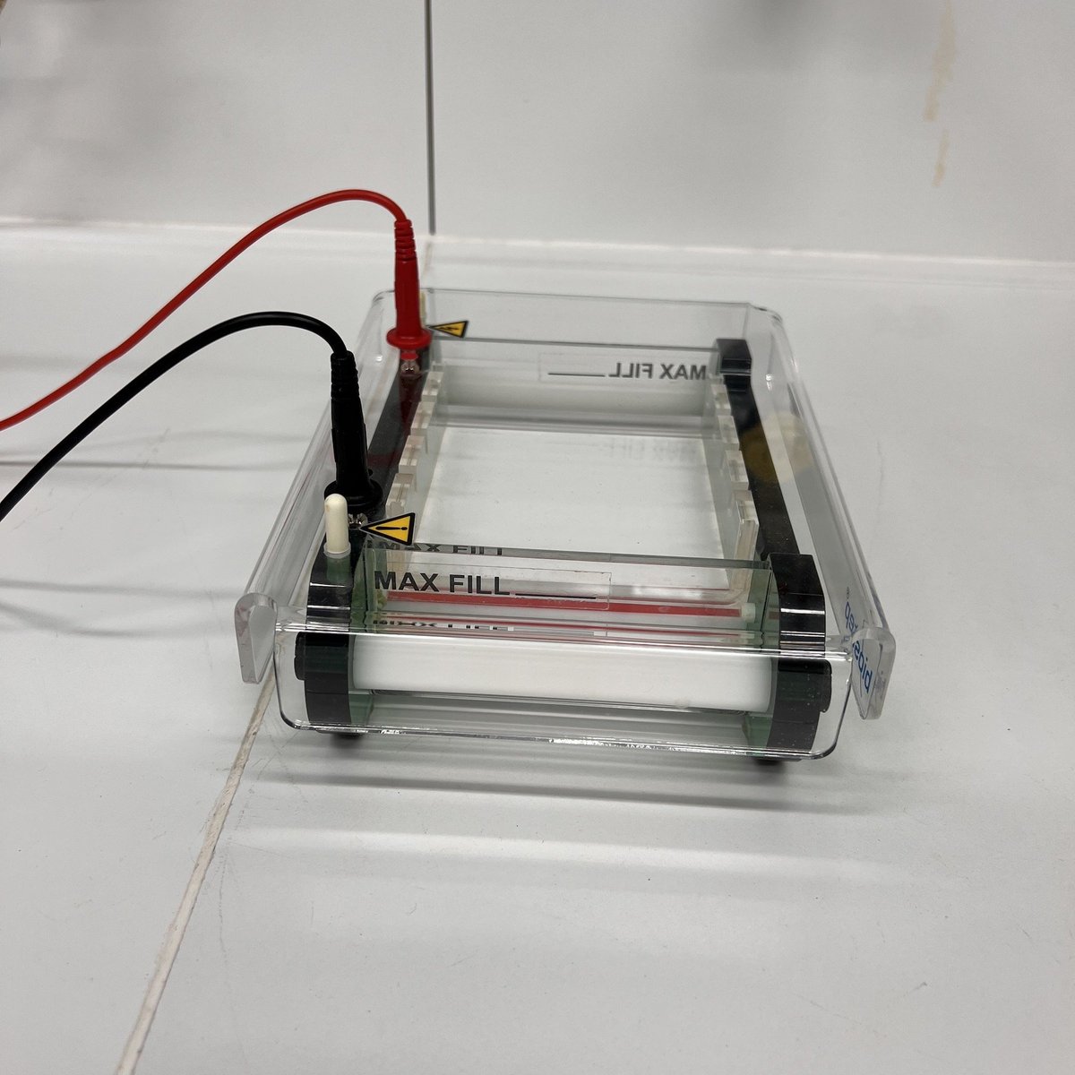 Photo of horizontal gel electrophoresis biostep