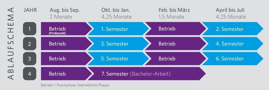 Ablaufschema duales Studium praxisintegrierend