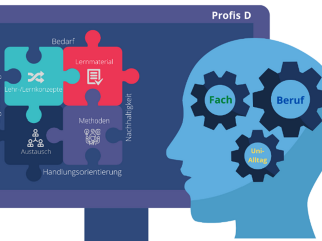 Abbildung zeigt Aktionsfelder und Ergebnisse von Profis D für Hochschullehrende und Studierende 