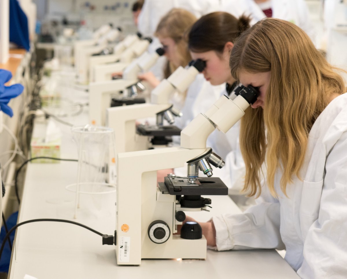 Schülerinnen betrachten Mikroorganismen durch Mikroskope.