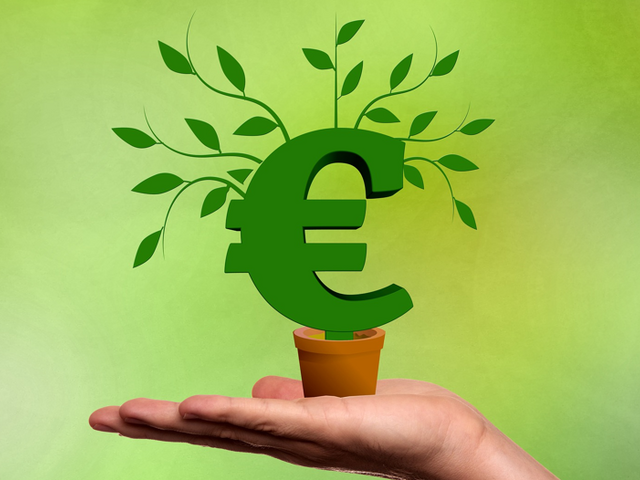 Auf flacher Hand stehender Topf aus dem ein grünes Euro Zeichen wächst mit grünen Blättern vor grünem Hintergrund