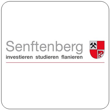 Logo der Stadt Senftenberg, die Unterstützer der Veranstaltung "70 Jahre Studieren in Senftenberg" sind