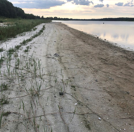 Seddiner See August 2022