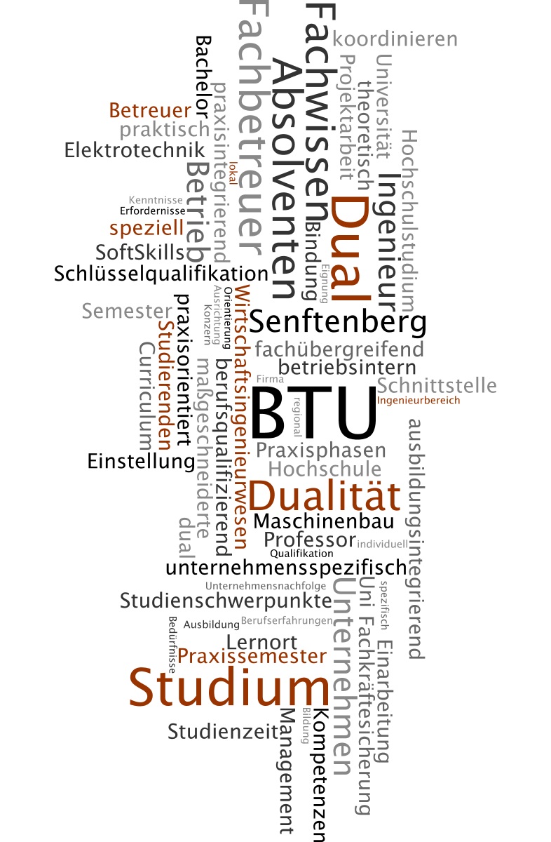 Wortwolke mit Begriffen zum dualen Studium