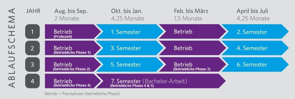 Ablaufschema für die Studiengänge Elektrotechnik, Maschinenbau und Wirtschaftsingenieurwesen.