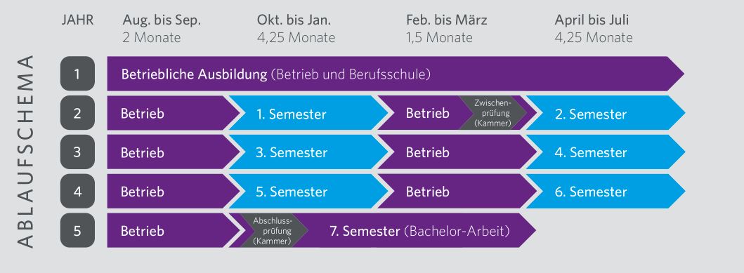 Ablaufschema duales Studium ausbildungsintegrierend