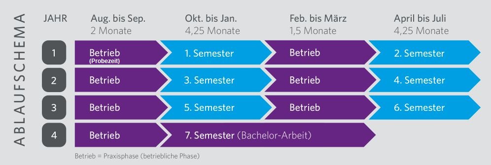 Beispielhaftes Ablaufschema - praxisintegrierendes duales Bachelor-Studium