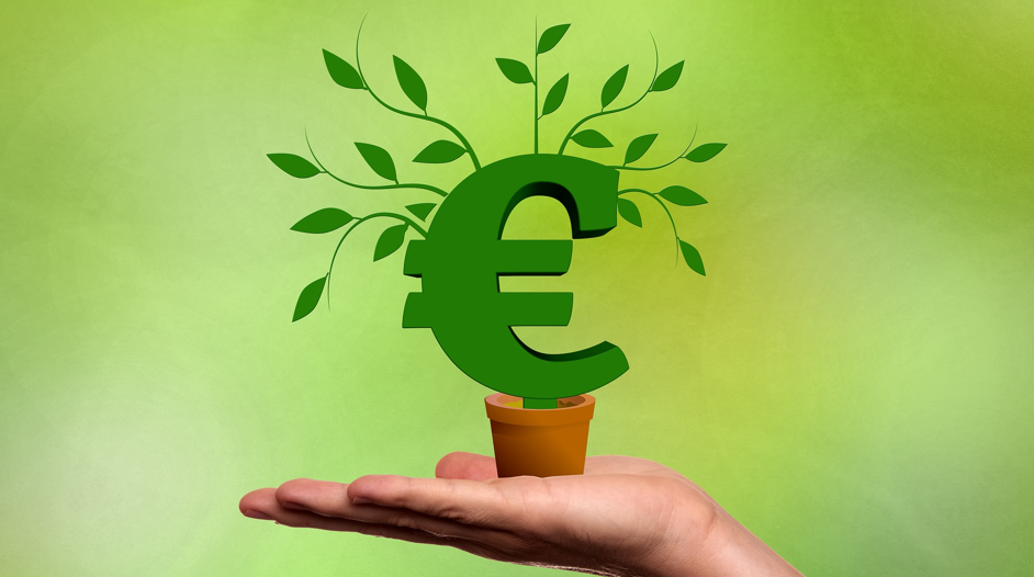 Auf flacher Hand stehender Topf aus dem ein grünes Euro Zeichen wächst mit grünen Blättern vor grünem Hintergrund