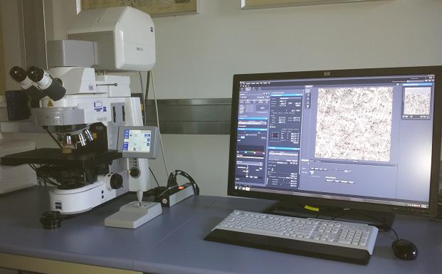 Laser-Scanning-Mikroskop LSM 700