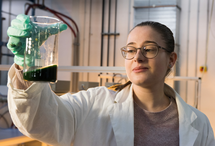 Image: Students in the laboratory