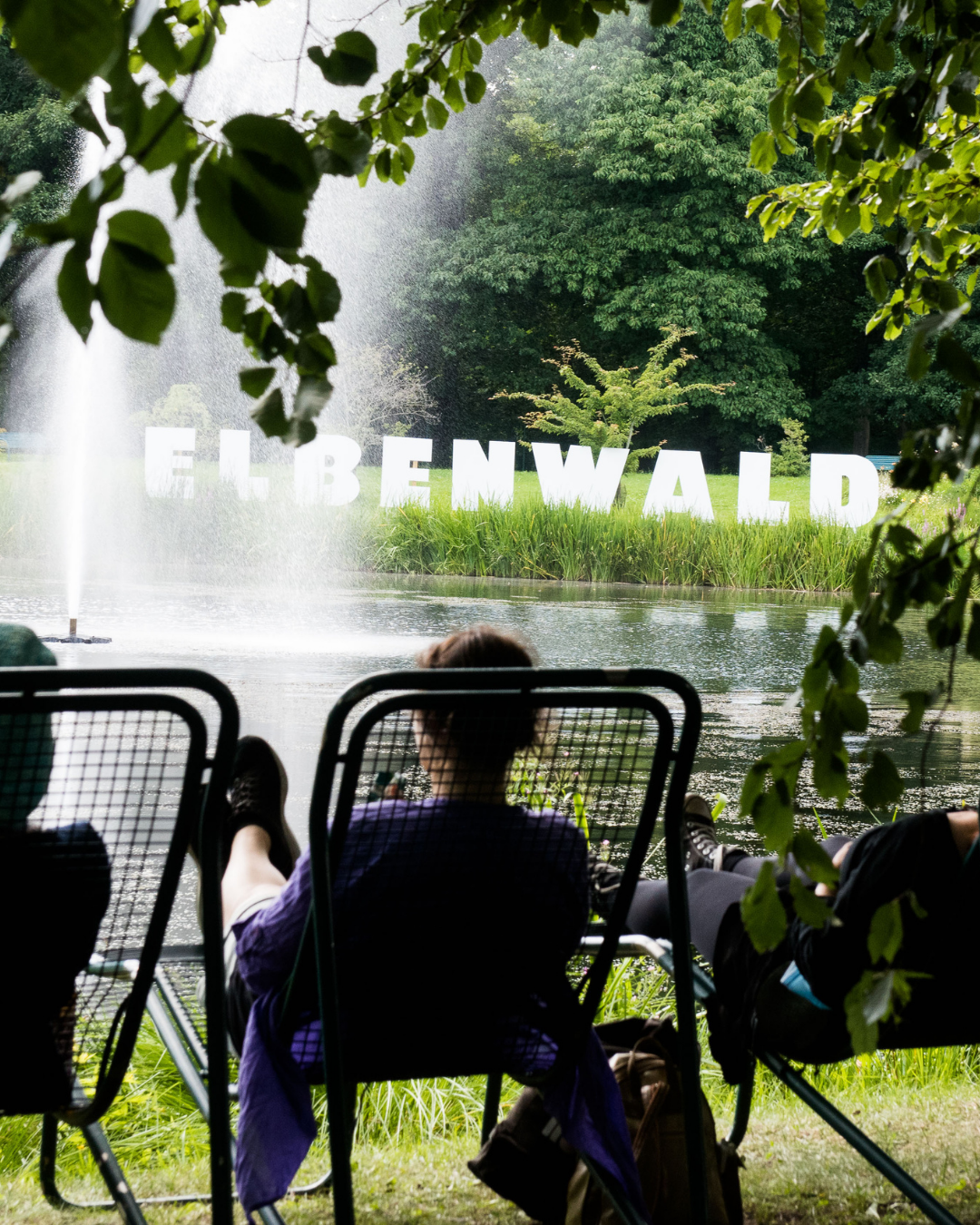 Das Elbenwald Festival findet auch 2026 im Spreeauenpark in Cottbus statt. (Foto: BTU, Ralf Schuster)