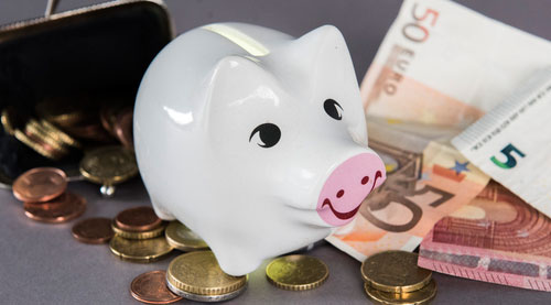 Auf dem Foto: ein Sparschwein mit Geldscheinen,