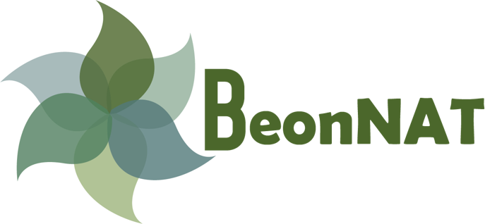 Logo BeonNAT
