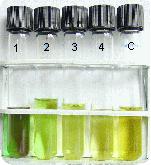 Purification of carotene with liquid-liquid exctraction of chlorophyll