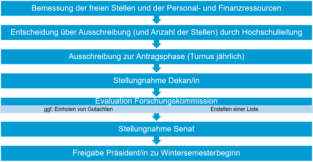 Verfahrensschema Beantragung einer Forschungsprofessur