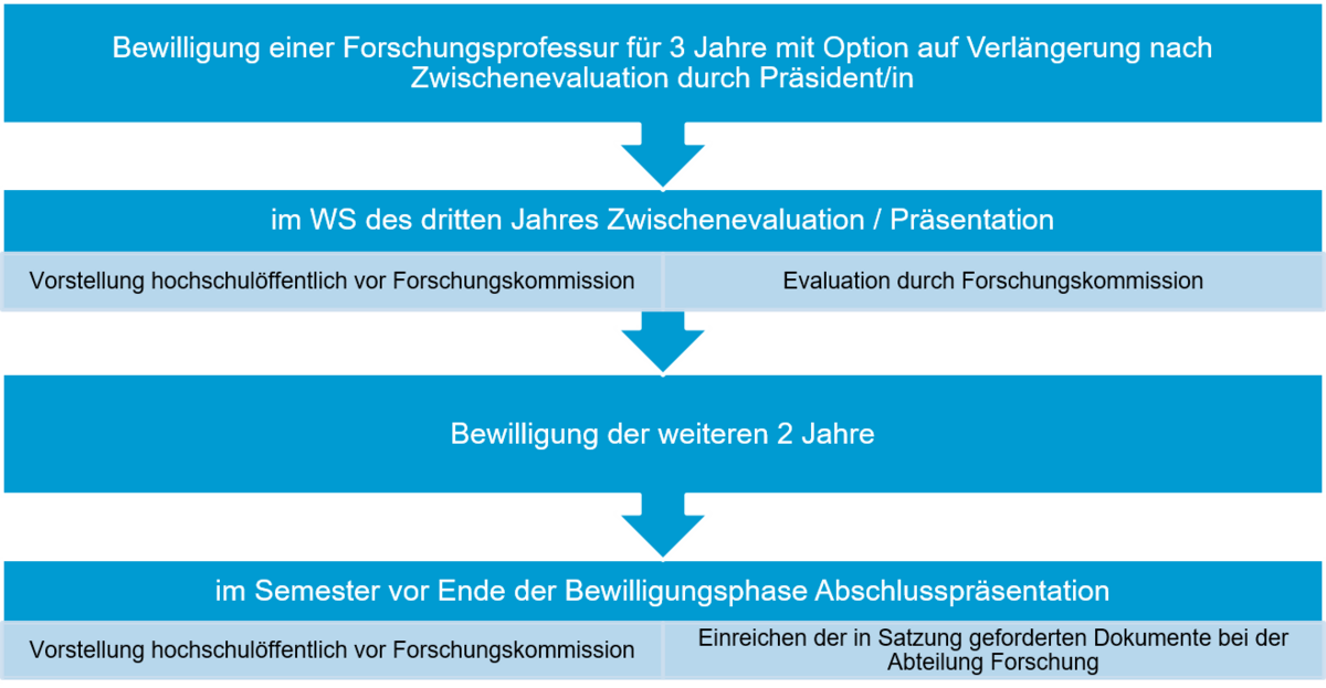 Schema zur Evaluation der Forschungsprofessur