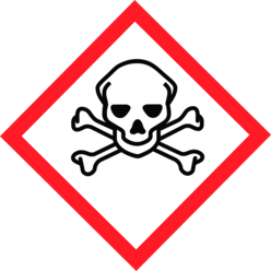 rotumrandete Raute, Totenkopf